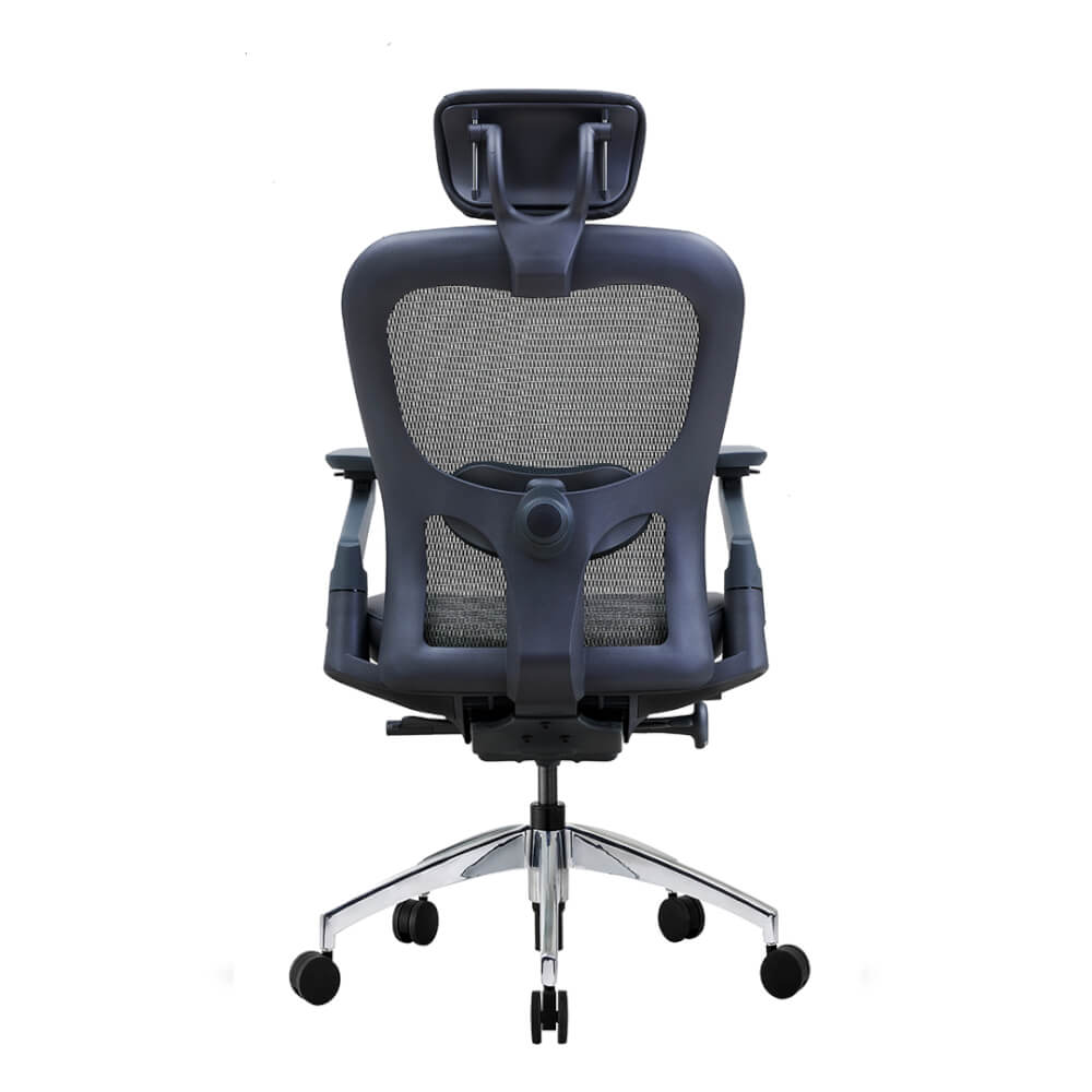 เก้าอี้เพื่อสุขภาพ DF PROCHAIR รุ่น Wonder-H สีดำ